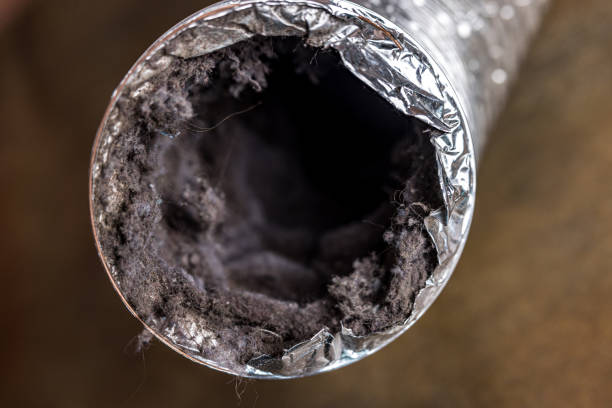 Best Air Duct Cleaning Near Me  in Avalon, NJ